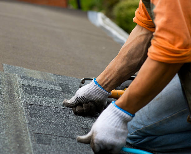 Best Gutter Installation and Roofing  in Perry, GA